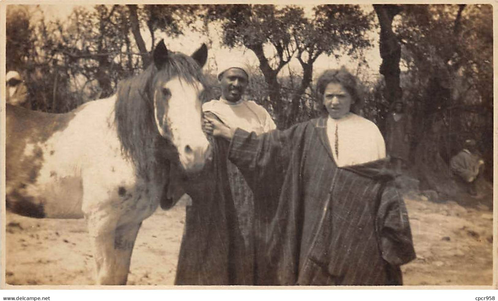 Maroc - N°86910 - Hommes Près D'un Cheval - Carte Photo - Other & Unclassified