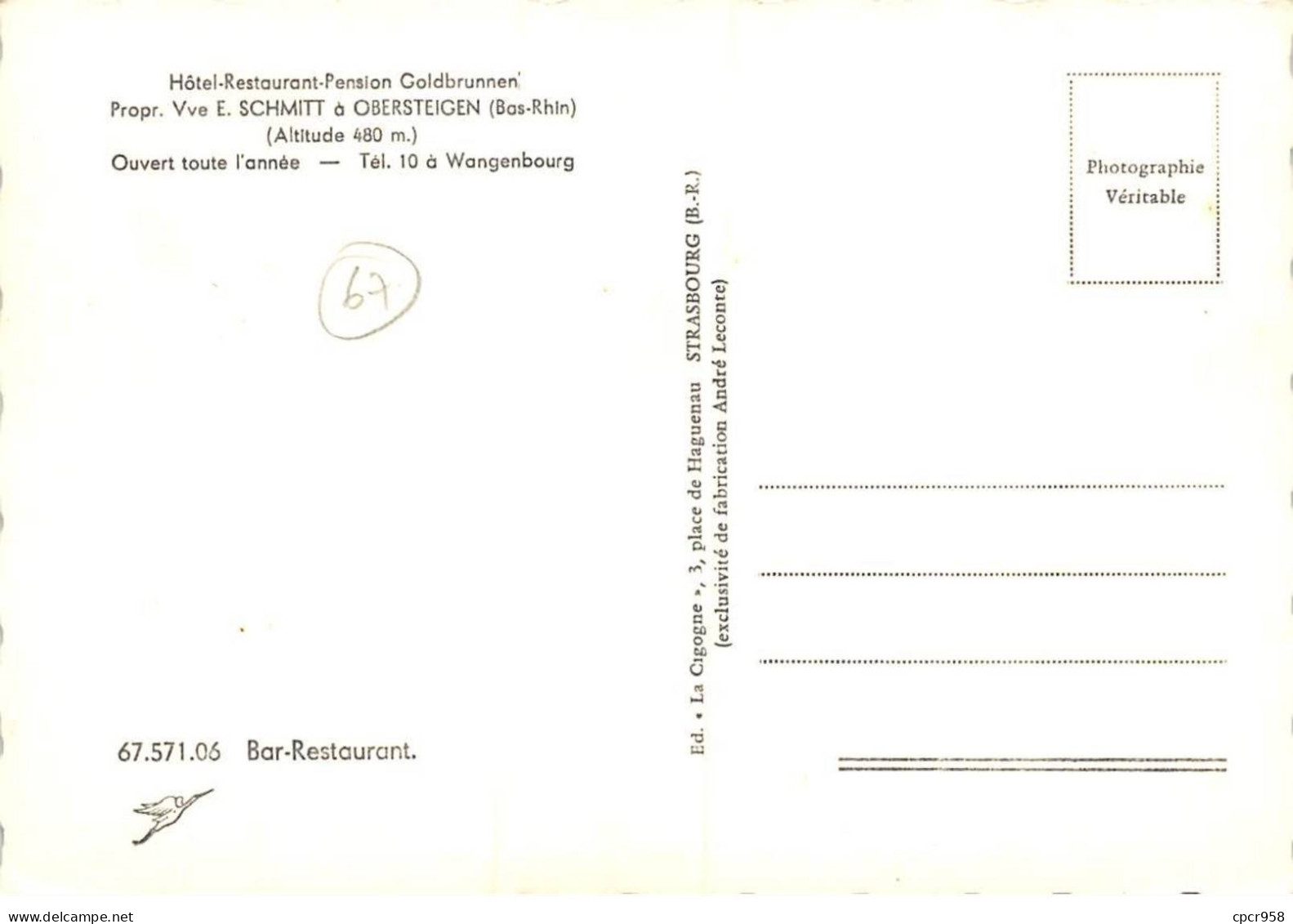 67 - SAN61981 - OBERSTEIGEN - Hôtel Restaurant Pension Goldrunnen - La Cigogne - CPSM 10x15 Cm - Altri & Non Classificati