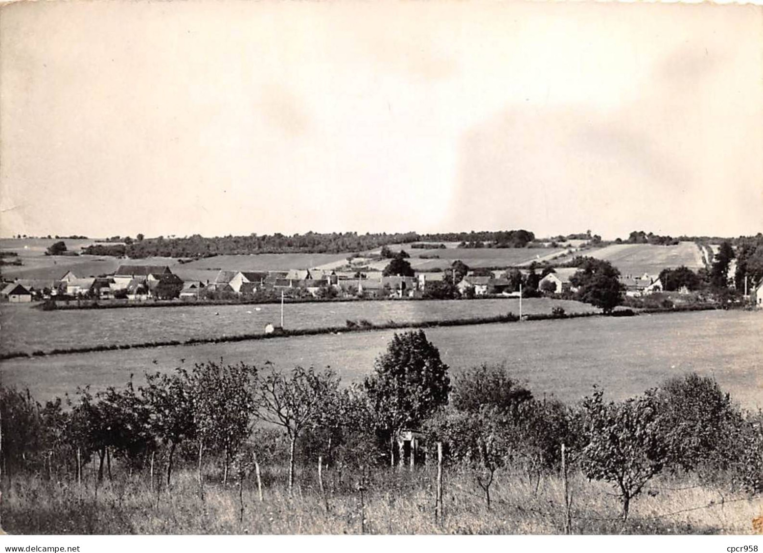 89 - SAN62336 - MISERY - Vue Générale - Collin - CPSM 10x15 Cm - Otros & Sin Clasificación