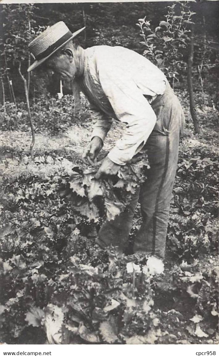 93 - N°88067 - GAGNY - Homme Fumant La Pipe, Jardinant. Carte Photo - Gagny