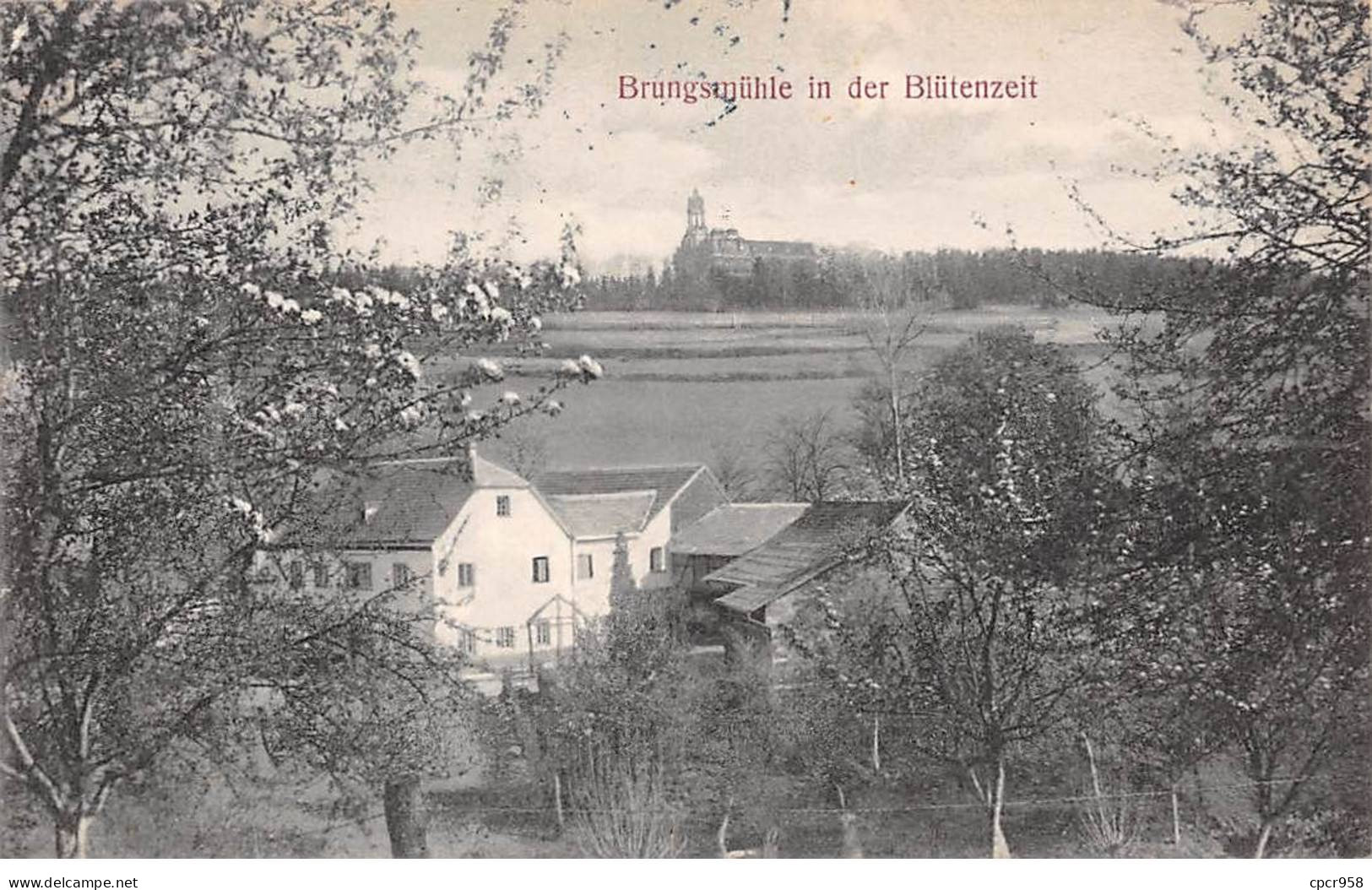 Allemagne - N°88005 - BONN - Brungsmühle In Der Blûtenzeit - Bonn