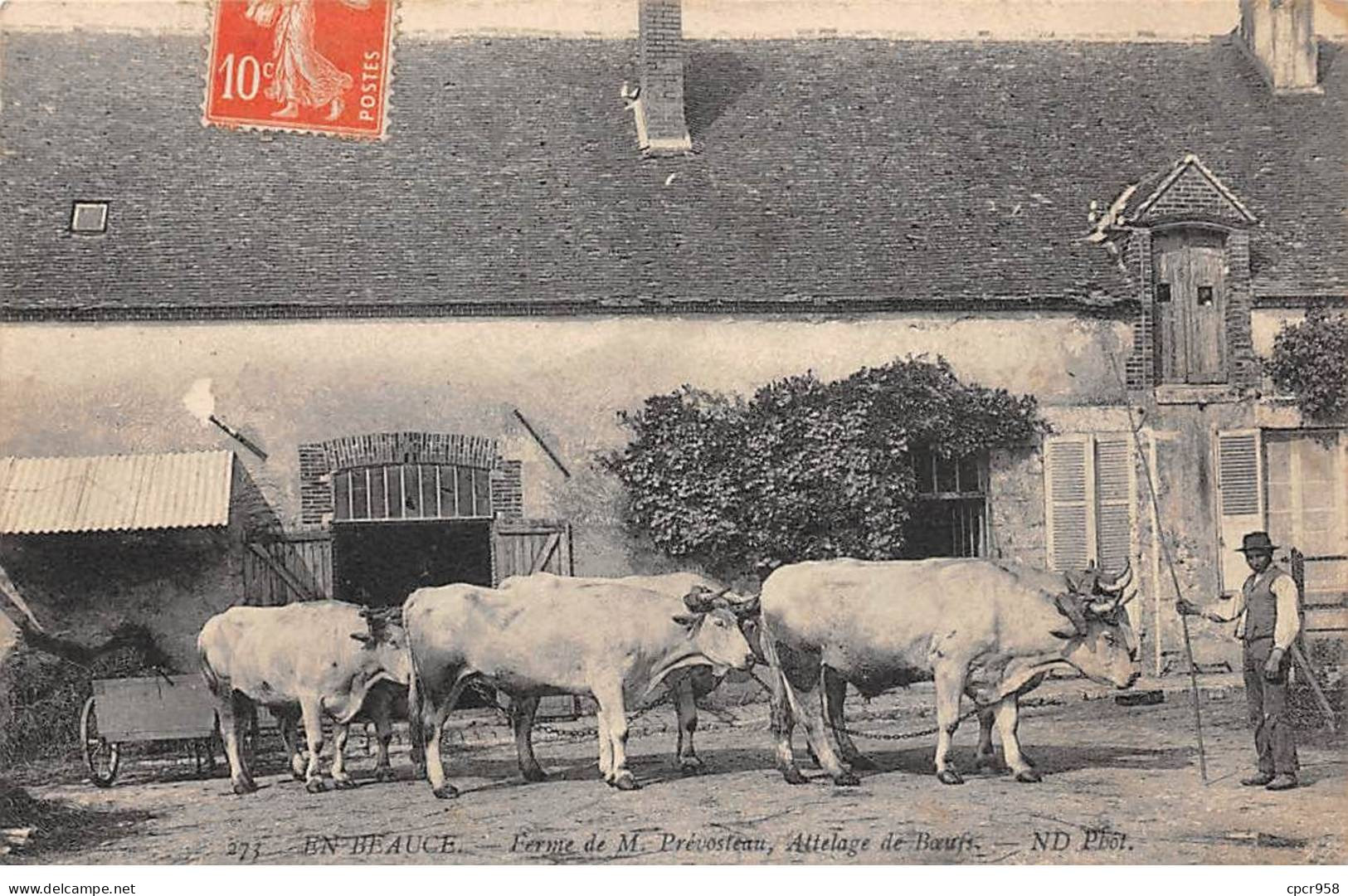 28 -  EN BEAUCE - SAN66729 - Ferme De M Prévosteau - Attelage De BÅufs - Agriculture - Métier - Autres & Non Classés