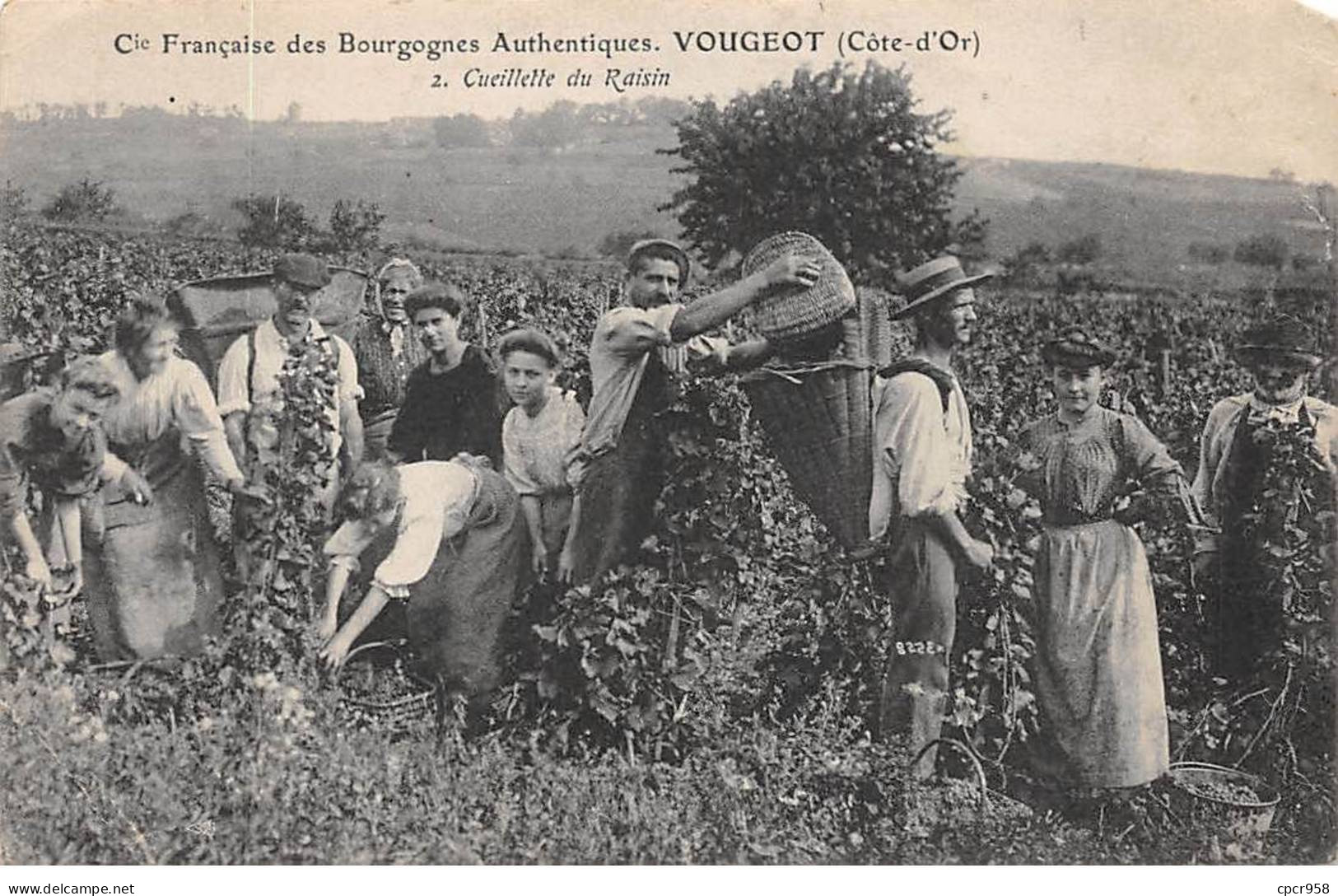 21 - VOUGEOT - SAN66609 - Cie Française Des Bourgognes Authentiques - Cueillette Du Raisin - En L'état - Métier - Other & Unclassified