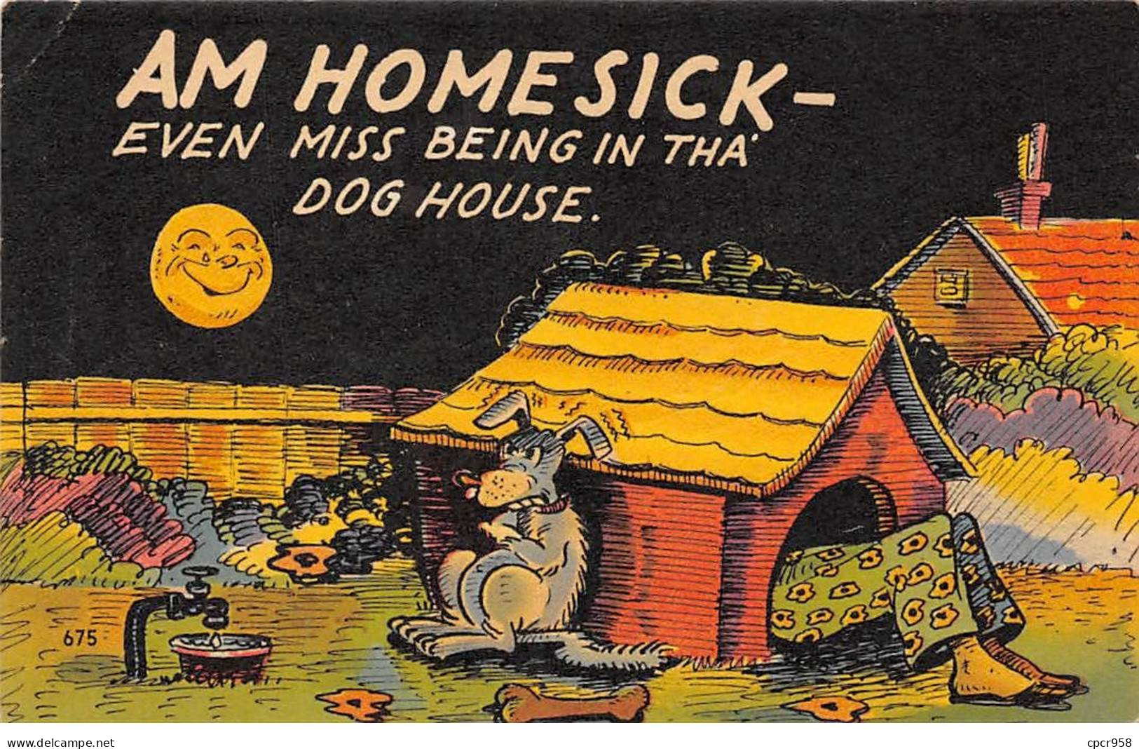 CHIENS - SAN65109 - Am Homesick - Even Miss Being In Tha Dog House - Hunde