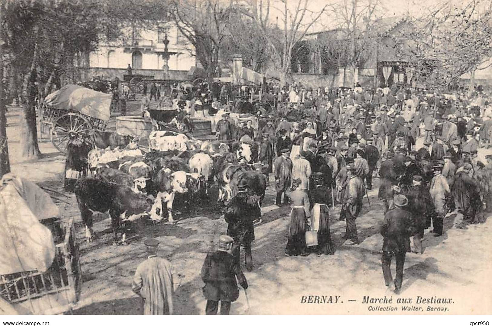 27 - BERNAY - SAN66715 - Marché Aux Bestiaux - Agriculture - Bernay