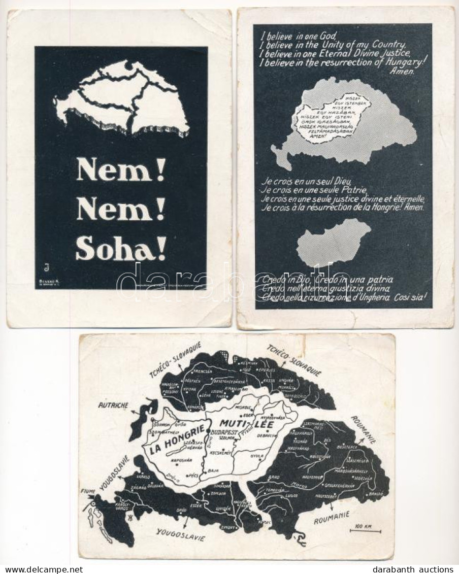 **, * 3 Db Régi Irredenta Propaganda Képeslap (Magyar Nemzeti Szövetség Kiadása); Vegyes Minőség / 3 Pre-1945 Hungarian  - Non Classés