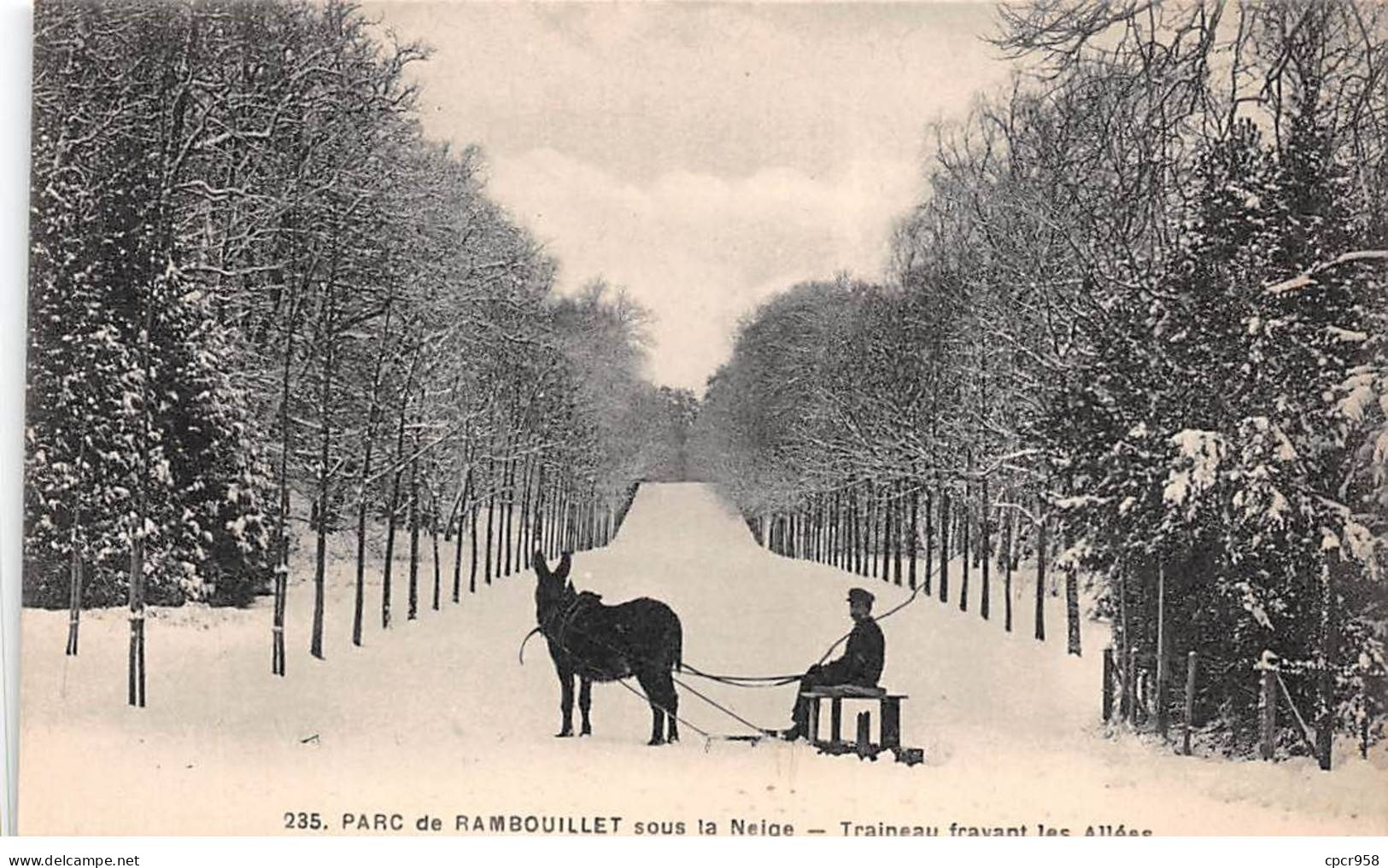 78 - RAMBOUILLET - SAN67446 - Parc Sous La Neige - Traineau Frayant Les Allées - Rambouillet