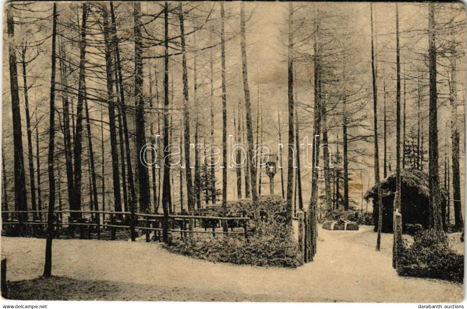 T3 Soldaten-Waldfriedhof In Bruneck. Eingeweiht Am 4. Juli 1915. / WWI Austro-Hungarian K.u.K. Military Cemetery In Brun - Non Classés