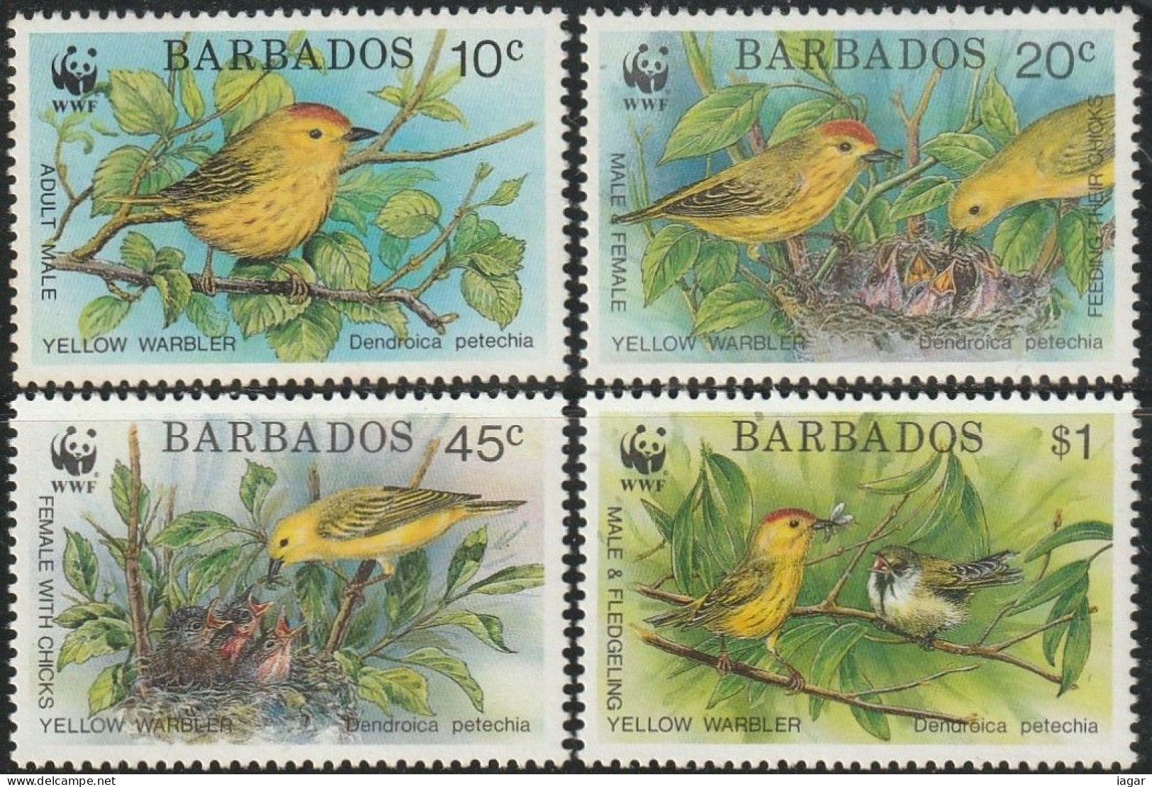 THEMATIC FAUNA:  BIRDS.  ENDANGERED SPECIES. YELLOW WARBLER    -    BARBADOS - Other & Unclassified