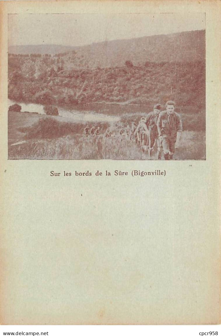 Scoutisme - N°89177 - Féd. Nat. Des Eclaireurs Du Luxembourg - Sur Les Bords De La Sûre (Bigonville) - Scoutisme