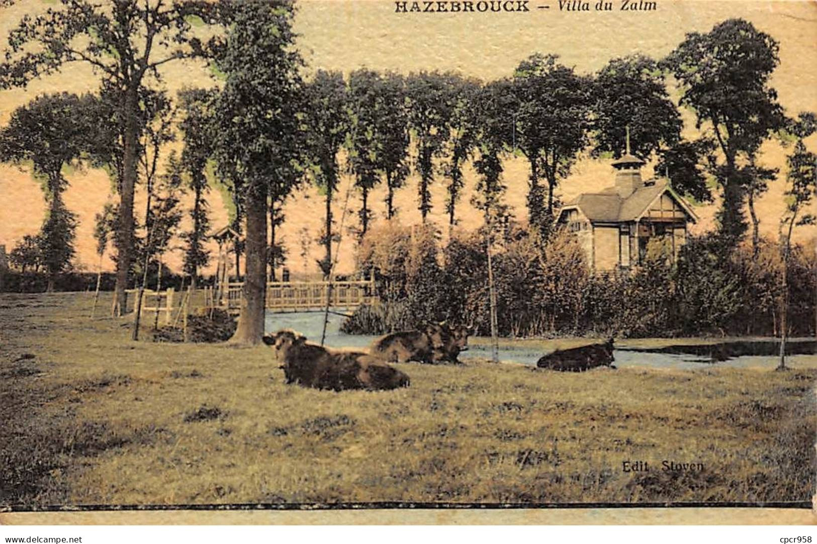 59 - HAZEBROUCK - SAN66892 - Villa Du Zalm - Hazebrouck