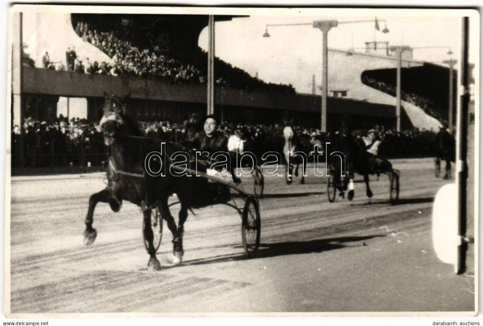* T3 Ügető Lóverseny. Tószegi Ferenc Emlékverseny. Hajtó Id. Vári / Hungarian Horse Race, Harness Racing. Photo (EB) - Zonder Classificatie