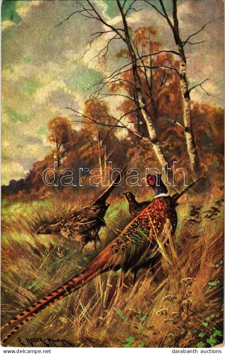 ** T2/T3 Hunting Art Postcard. K.V.B. Serie 9025. S: E. Heller (EK) - Non Classés