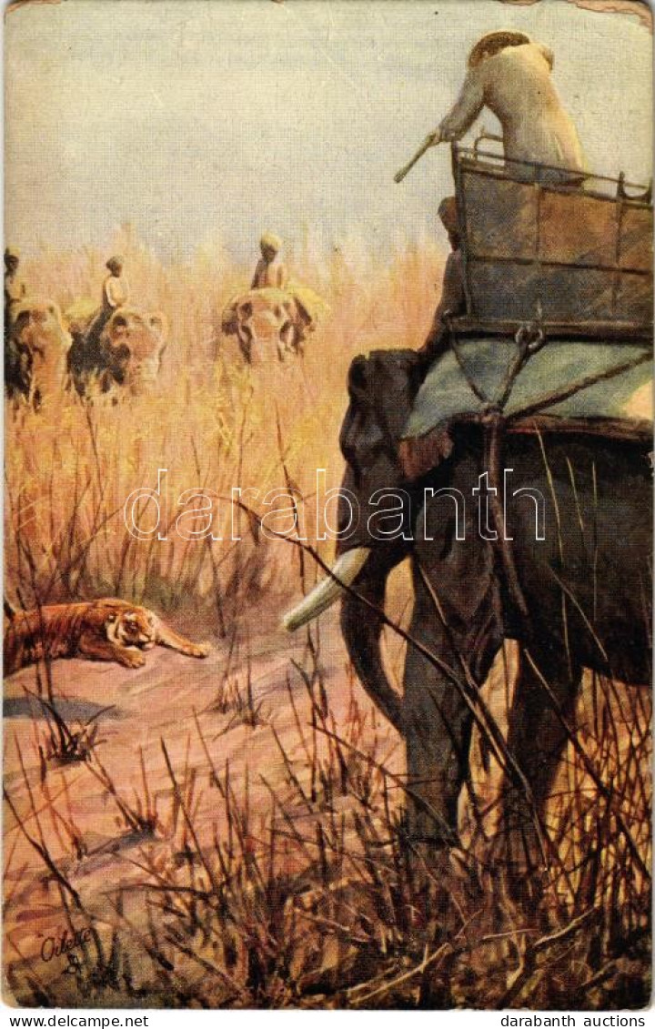 ** T2/T3 "Tiger Hunting" Raphael Tuck & Sons' "Oilette" Postcard No. 8780. (EK) - Zonder Classificatie