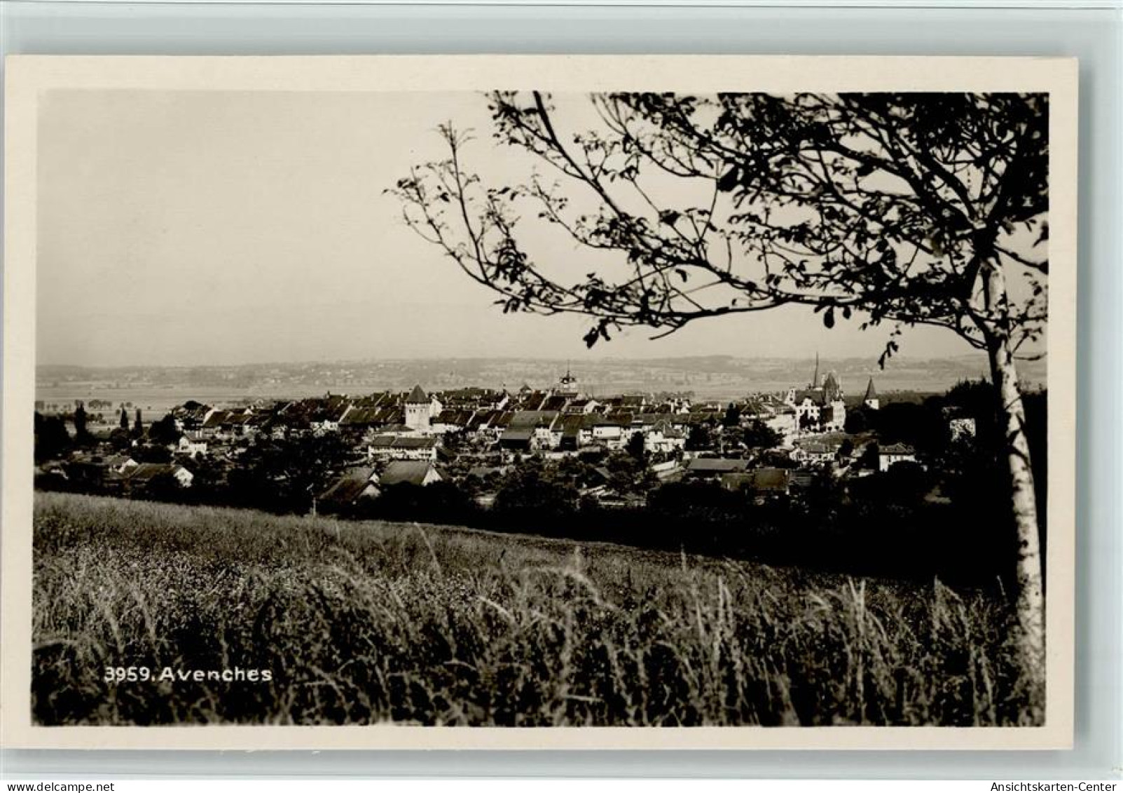 12112805 - Avenches - Autres & Non Classés