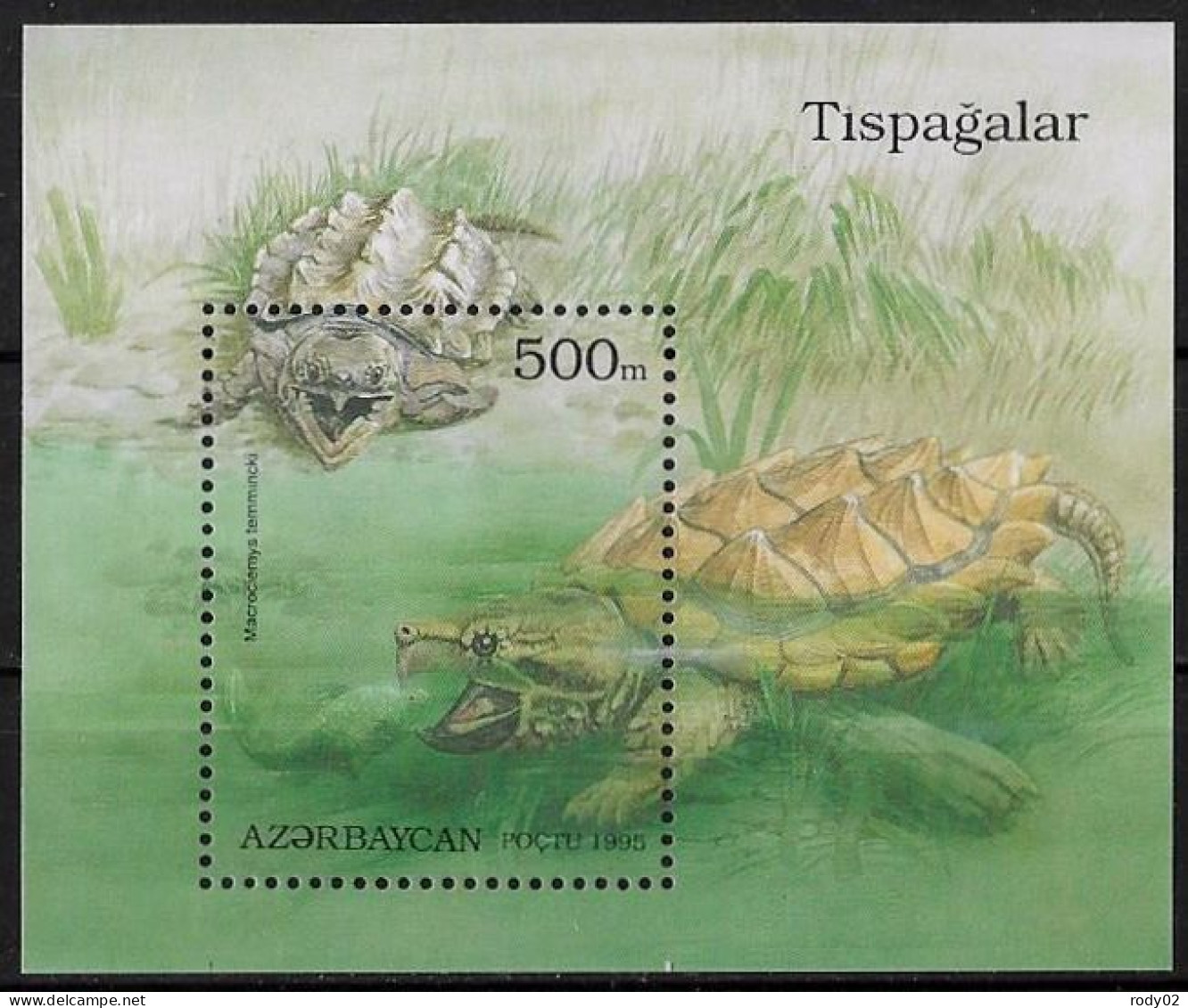 AZERBAIDJAN - TORTUES - BF 15 - NEUF** MNH - Tartarughe