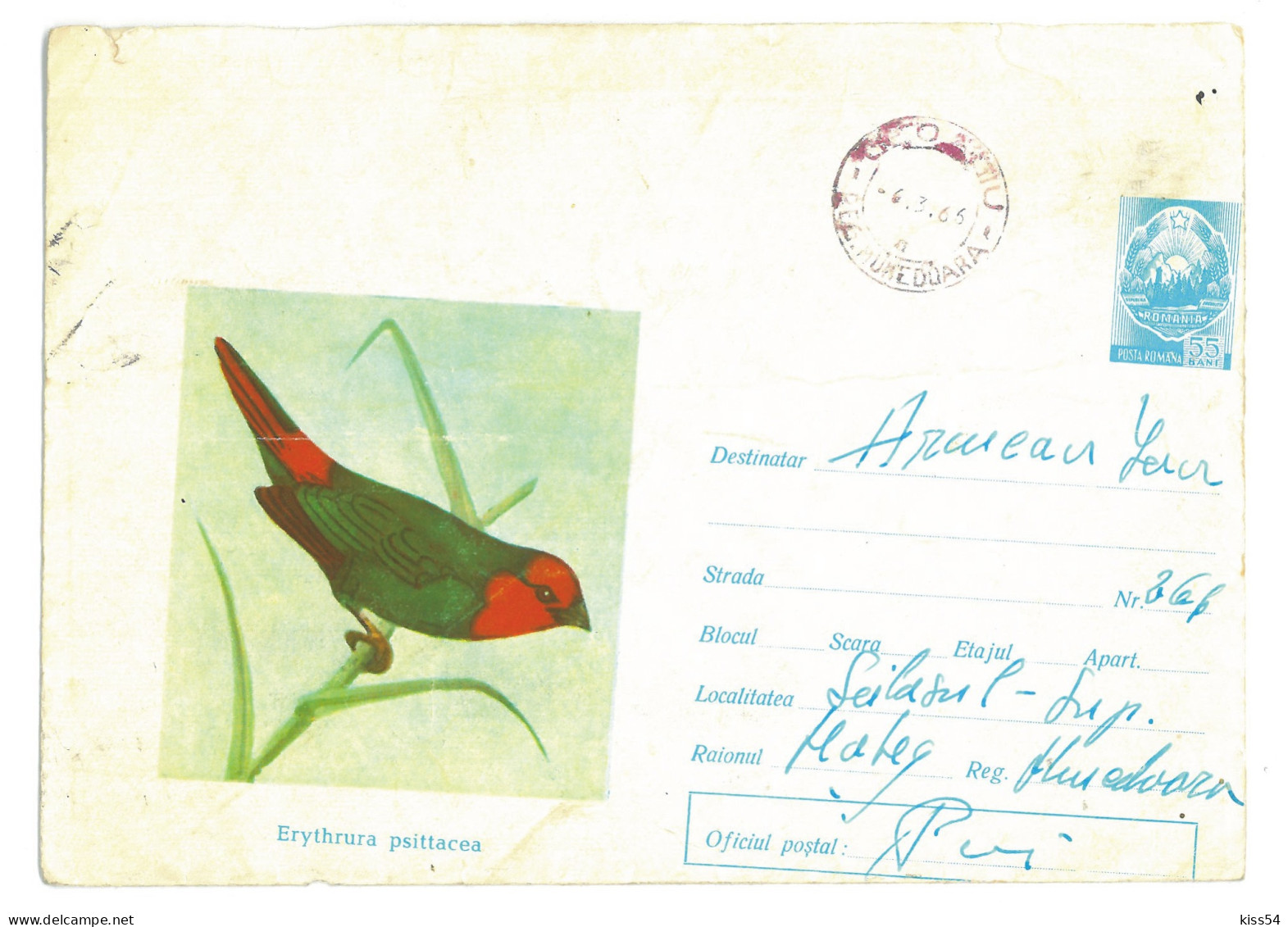 IP 65 A - 0191-a BIRD, Romania - Stationery - Used - 1965 - Ganzsachen