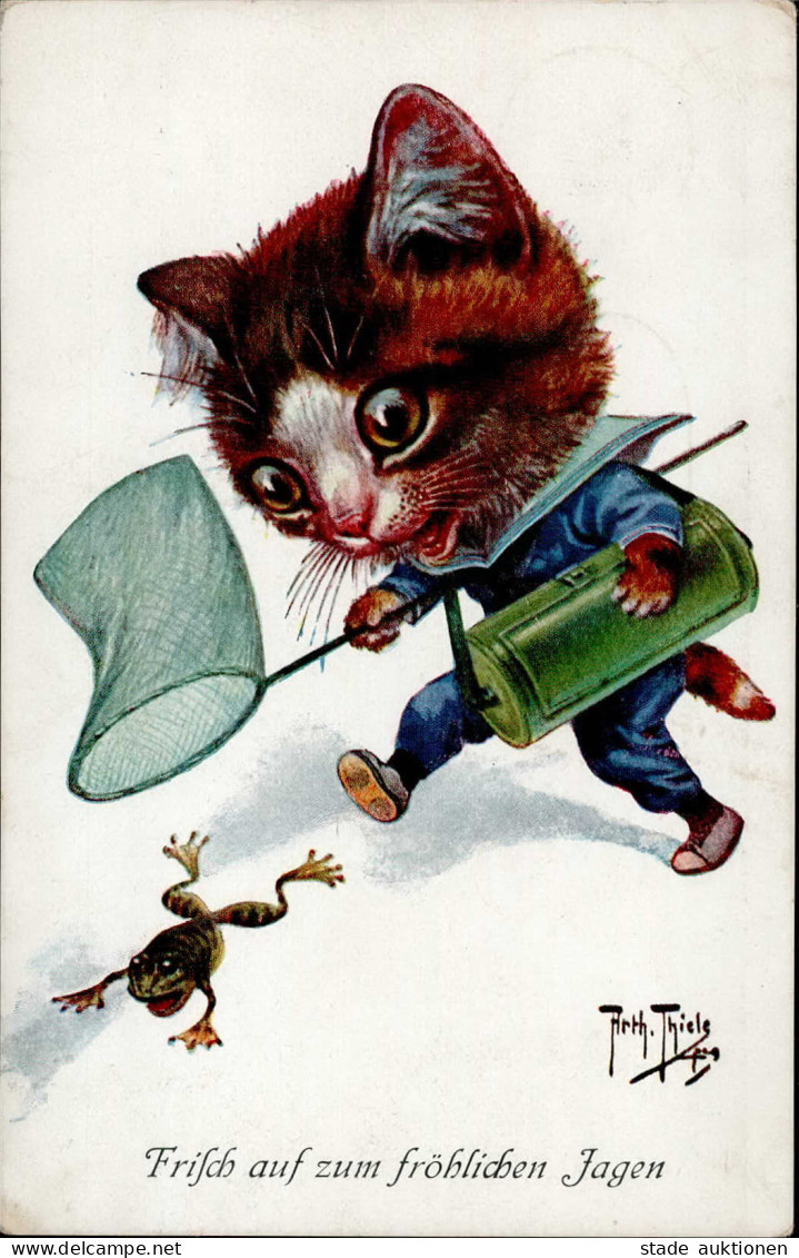 Thiele, Arthur Katze TSN 1964 I-II Chat - Thiele, Arthur