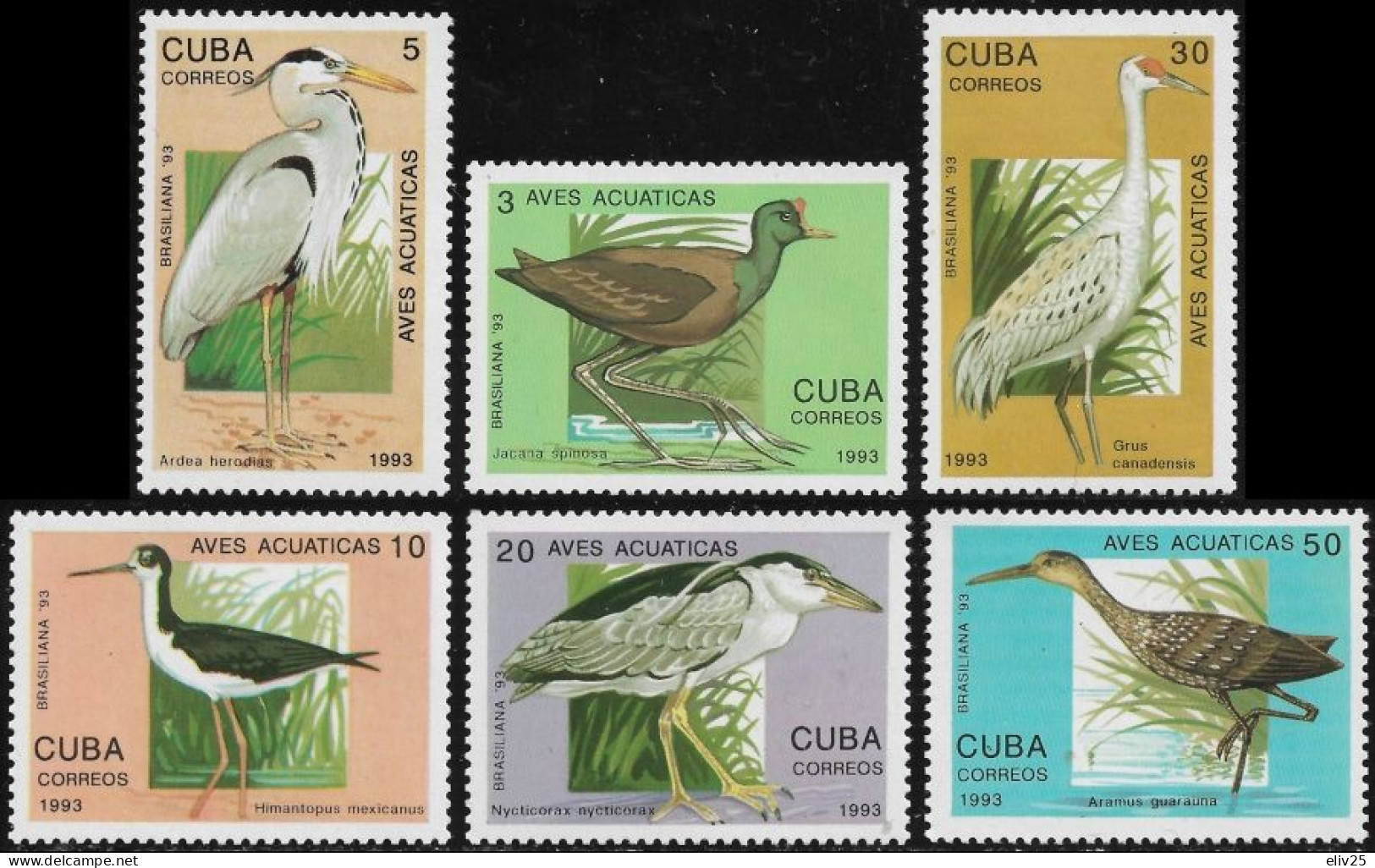 Cuba 1993, Water Birds - 6 V. MNH - Storchenvögel