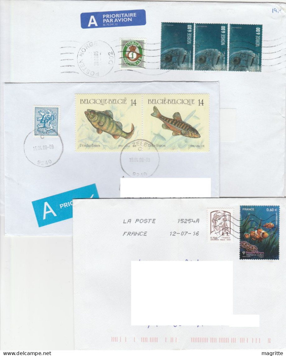Poissons Lot De 6 Enveloppes Voyagées France Portugal Norvège Belgique Fish Fishes 6 Travelled Letters - Fishes