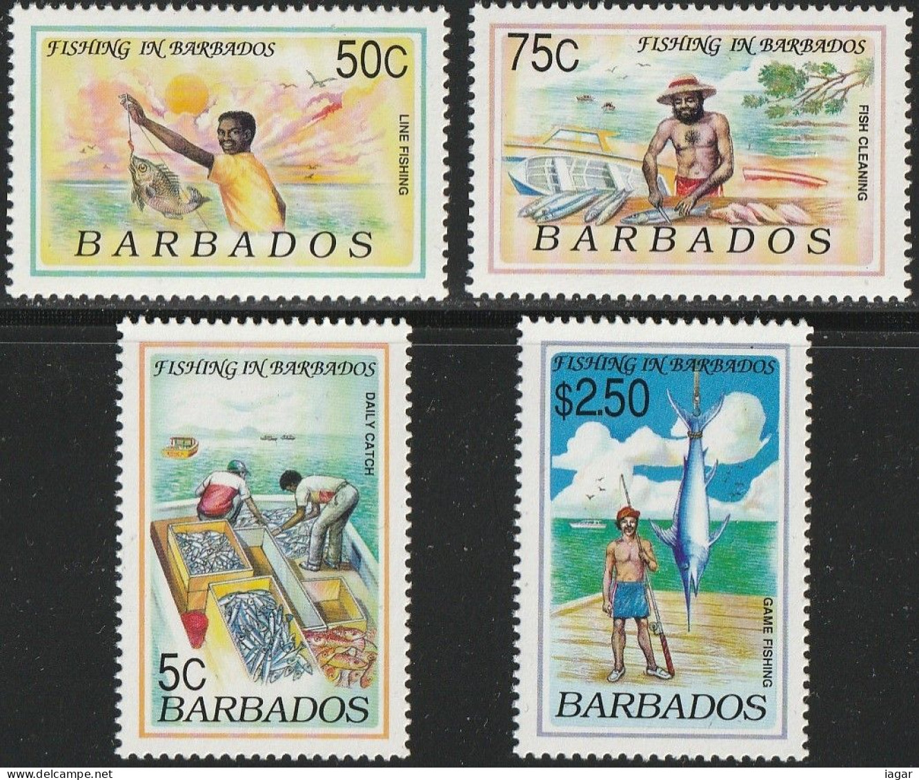 THEMATIC SPORT:  FISHING IN BARBADOS.  DAILY CATCH, LINE FISHING, FISH CLEANING, GAME FISHING    -    BARBADOS - Autres & Non Classés