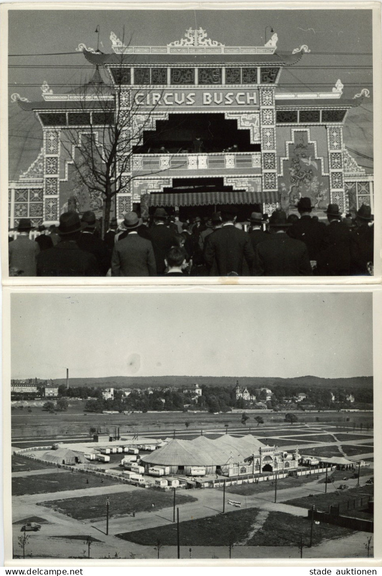 Fotographie Lot Mit 9 Großformatigen Fotos U.a. Zirkus Busch Ca. 18x24cm - Fotografie