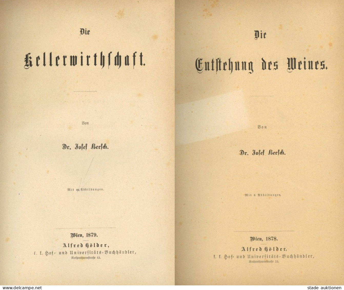 Wein 2 Bücher Der Wein Und Sein Wesen Eine Darstellung Der Vorgänge Der Weinwerdung Und Der Kellerwirtschaft Auf Wissens - Otros & Sin Clasificación