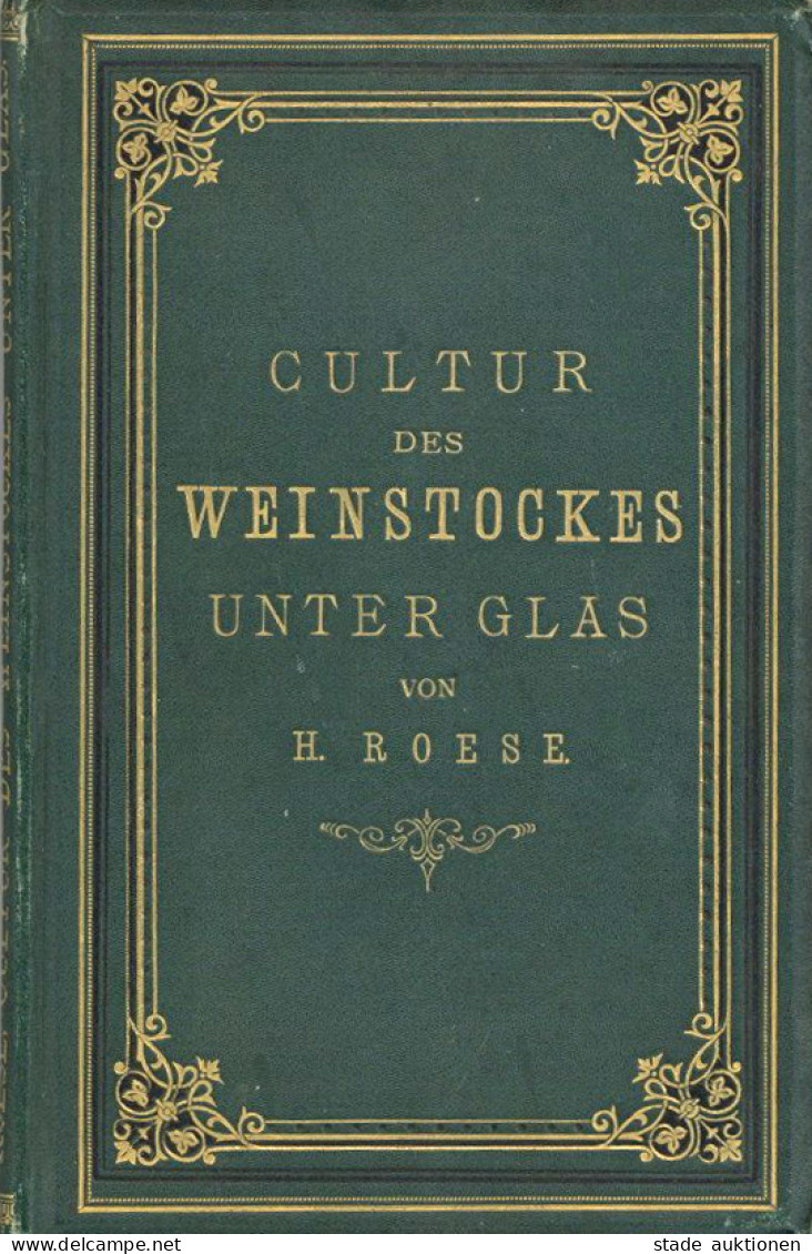 Wein Buch Cultur Des Weinstockes Unter Glas Mit Besonderer Berücksichtigung Des Klimas Von Norddeutschland Von Roese, H. - Sonstige & Ohne Zuordnung