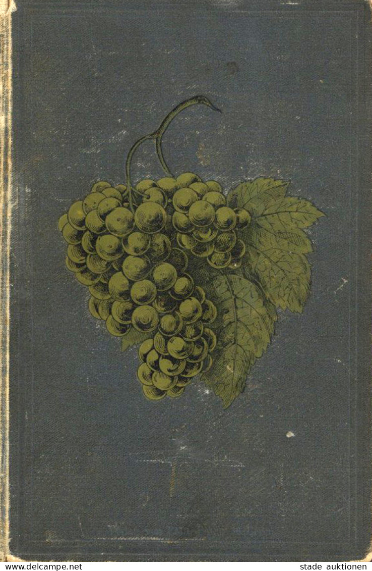 Wein Buch Die Praxis Der Weinbereitung Handbuch Für Weinproduzenten, Kellermeister Und Weinhändler Von Bersch, Josef 188 - Sonstige & Ohne Zuordnung