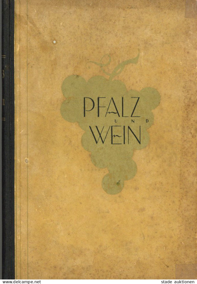 Wein Buch Pfalz Und Wein Von Berlet, J. 1928, Verlag Berlet Neustadt, 400 S. Mit Einigen Abb. II Vigne - Other & Unclassified