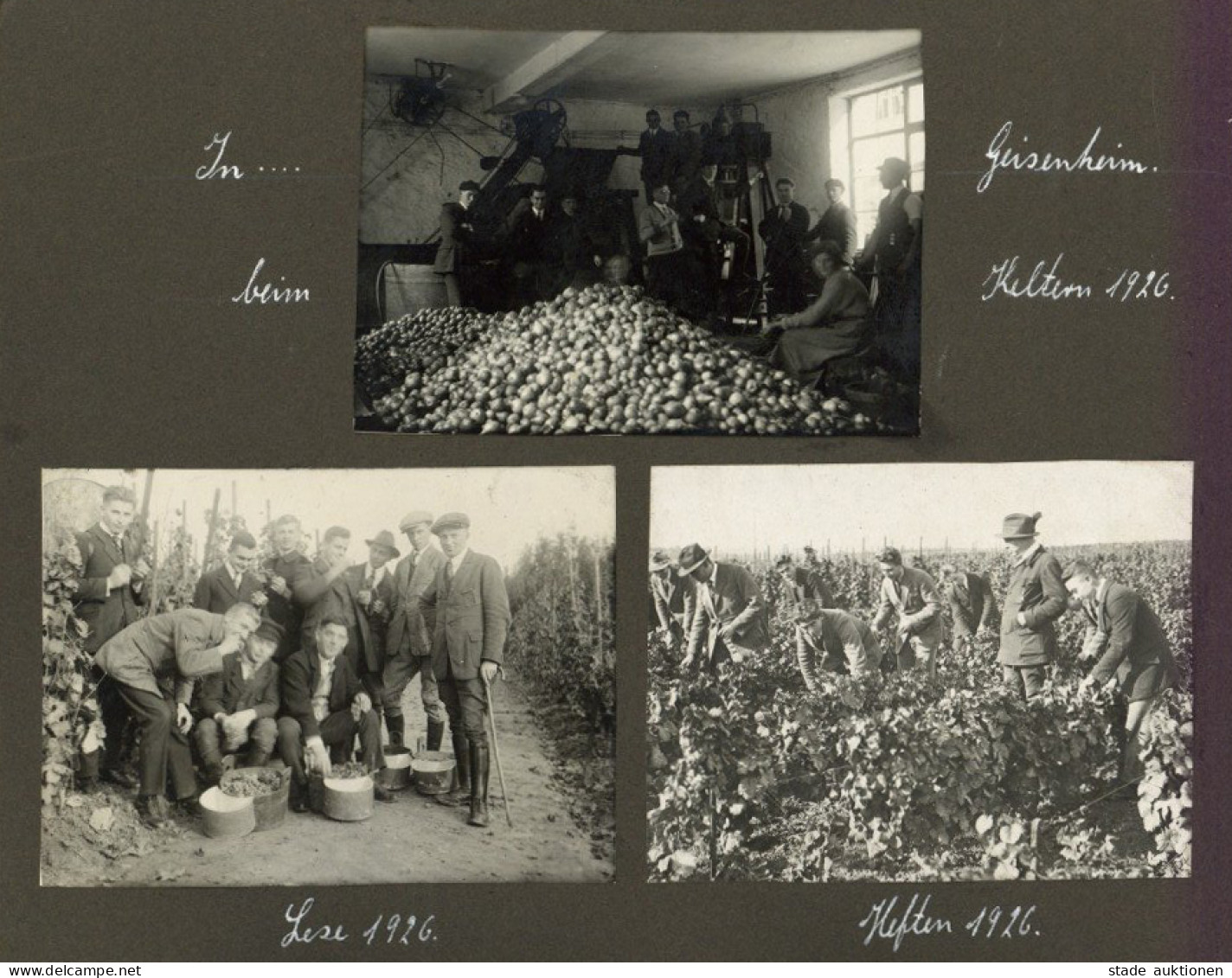 Wein Geisenheim  Ca.70 Fotos Aus Priv. Fotoalbum Viel über Das Kelternhaus Und Die Weinlese In Den 20er Jahren II Vigne - Other & Unclassified