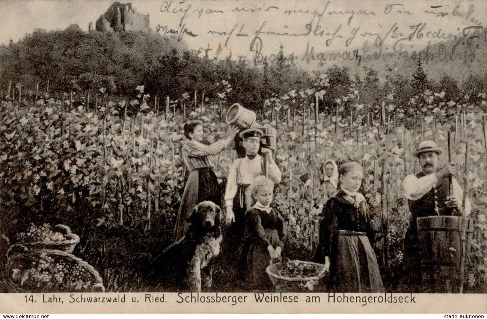 Wein Lahr Schwarzwald Schlossberger Weinlese Am Hohengeroldeck I-II (Marke Entfernt) Vigne - Sonstige & Ohne Zuordnung