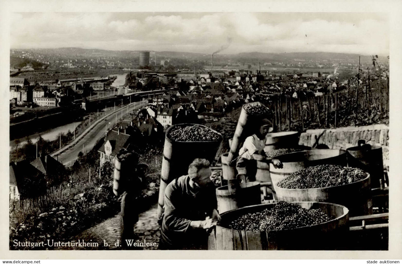 Wein Stuttgart-Untertürkheim Weinlese I-II Vigne - Otros & Sin Clasificación