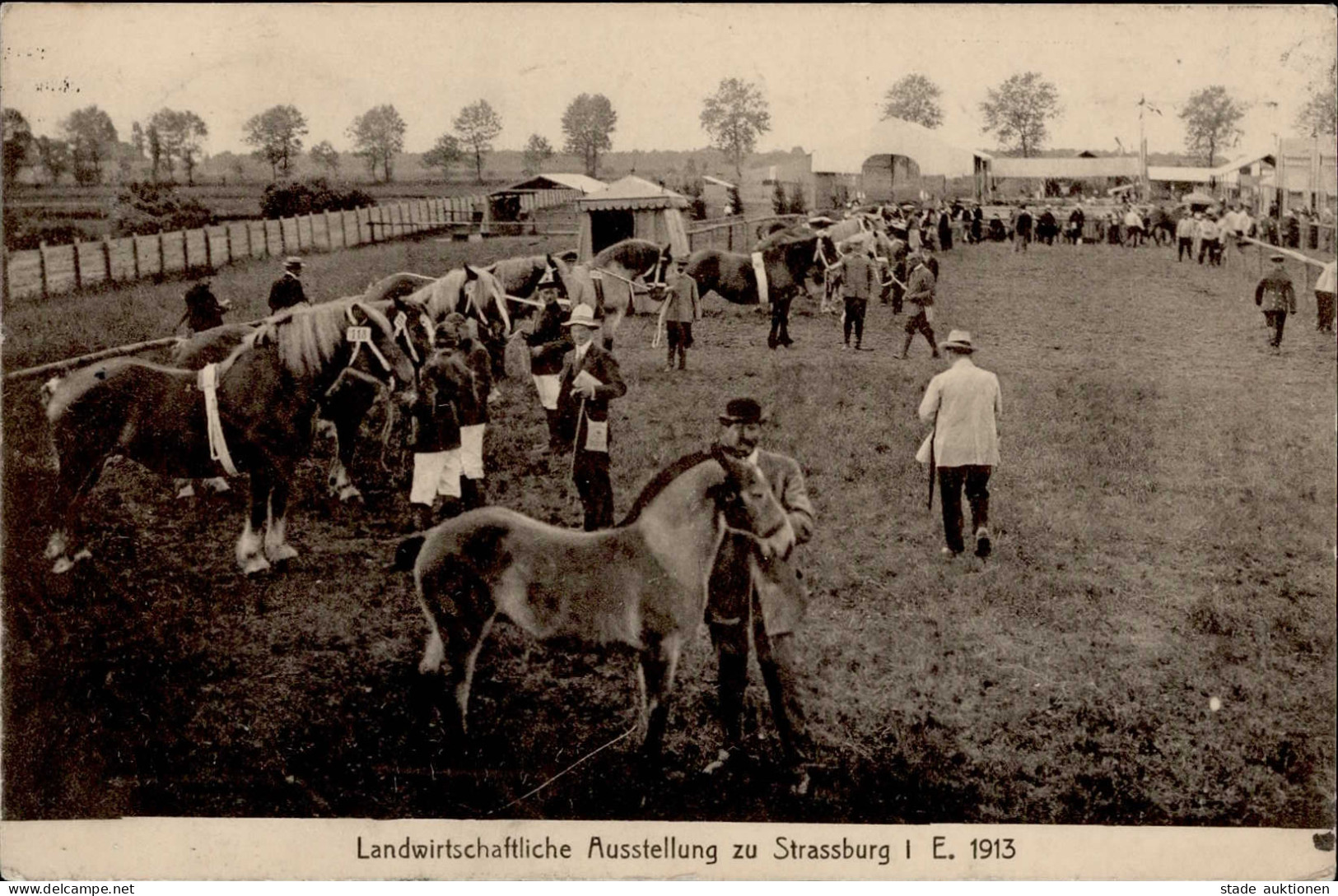 Ausstellung Strassburg I. E. Landwirtschaftliche Ausstellung 1913 I-II Expo - Expositions