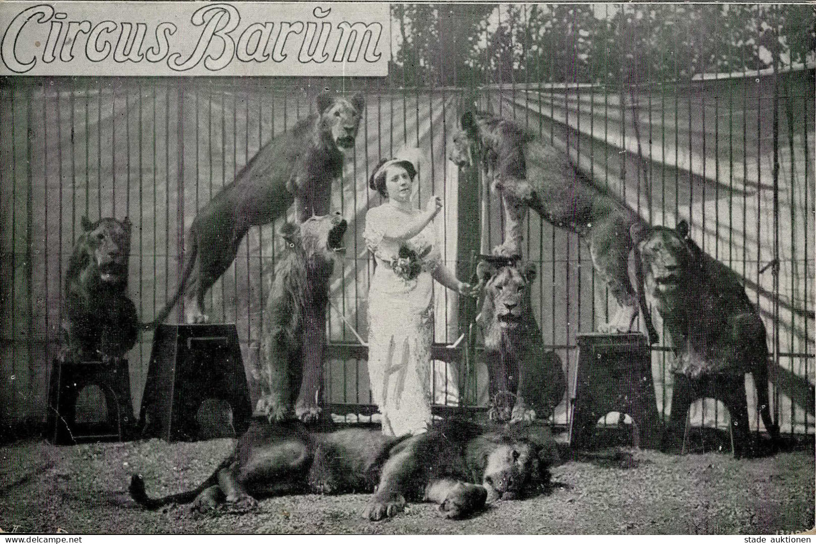 Zirkus Barum Löwen-Dressur I-II - Circus