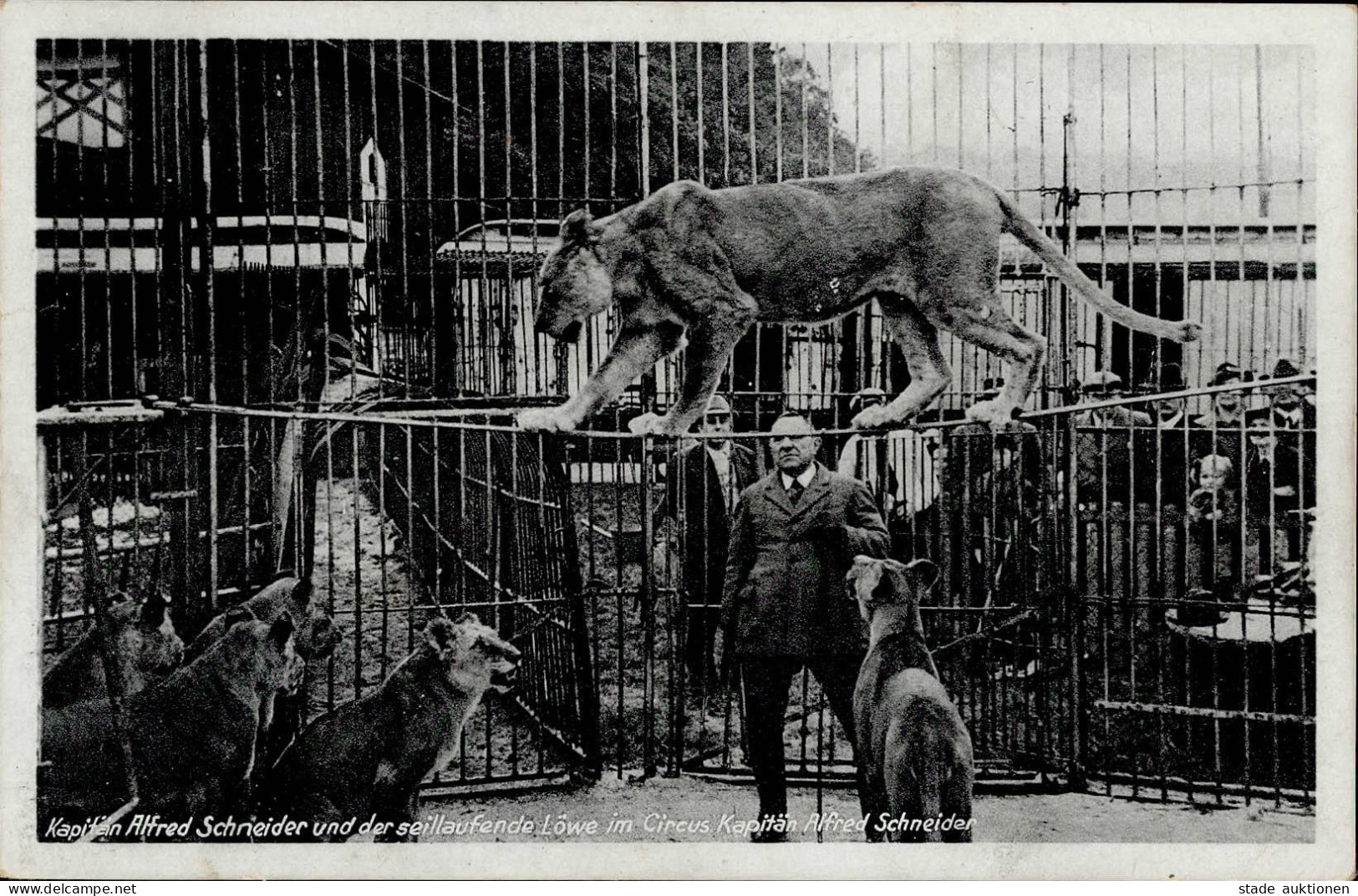 Zirkus Kapitän Schneider, Alfred Und Der Seillaufende Löwe I-II - Circo