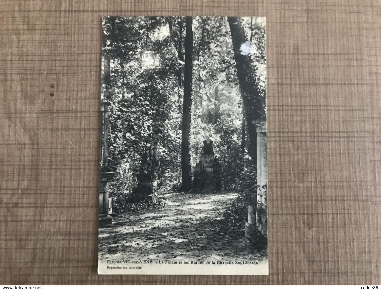 Parc De VIC Sur AISNE La Futaie Et Les Ruines De La Chapelle Ste Leocade - Vic Sur Aisne