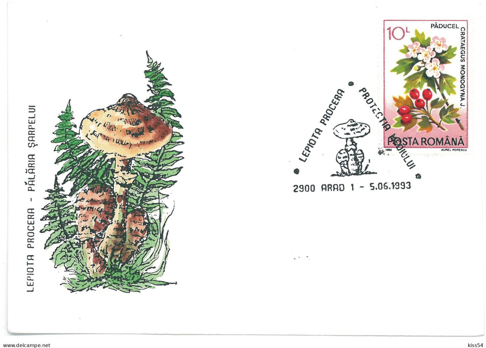 COV 997 - 3155 MUSHROOMS, Romania - Cover - Used - 1993 - Brieven En Documenten