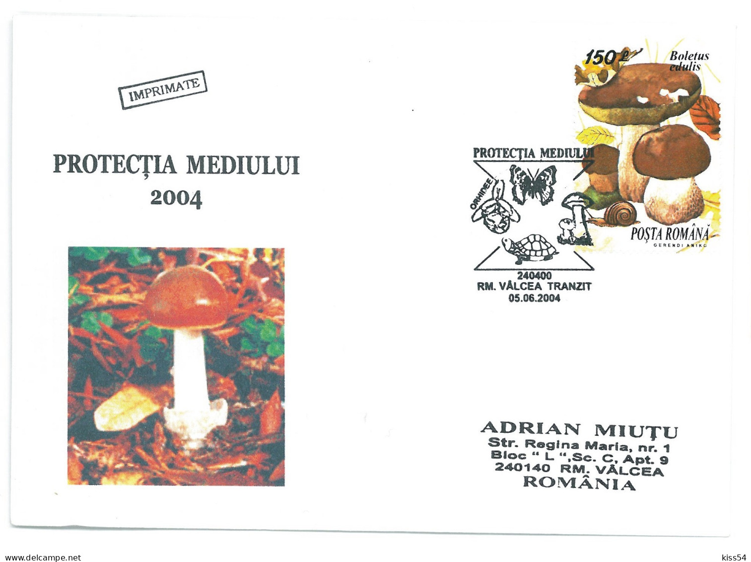 COV 997 - 3161 MUSHROOMS, Romania - Cover - Used - 2004 - Briefe U. Dokumente