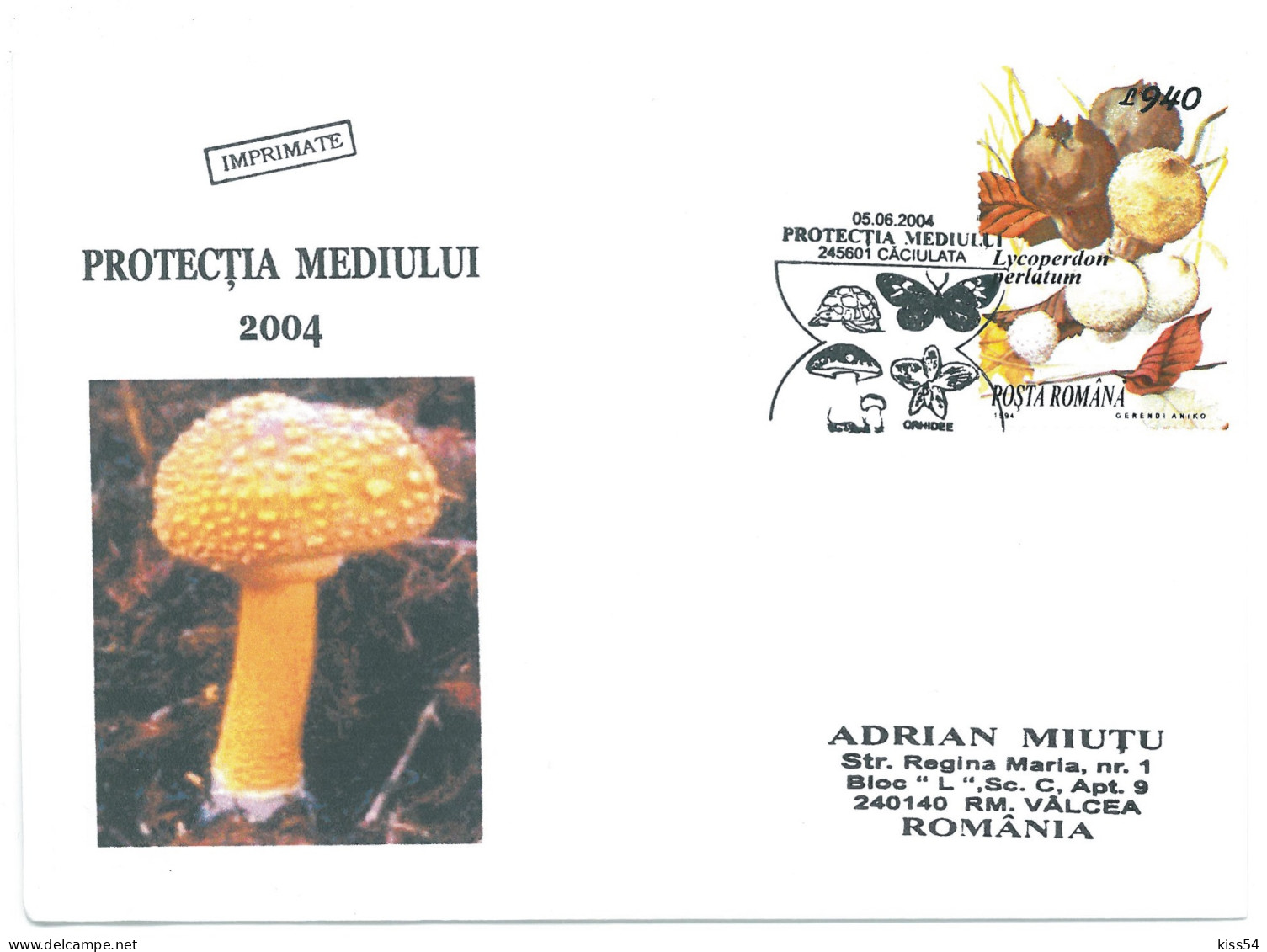 COV 997 - 3159 MUSHROOMS, Romania - Cover - Used - 2004 - Brieven En Documenten