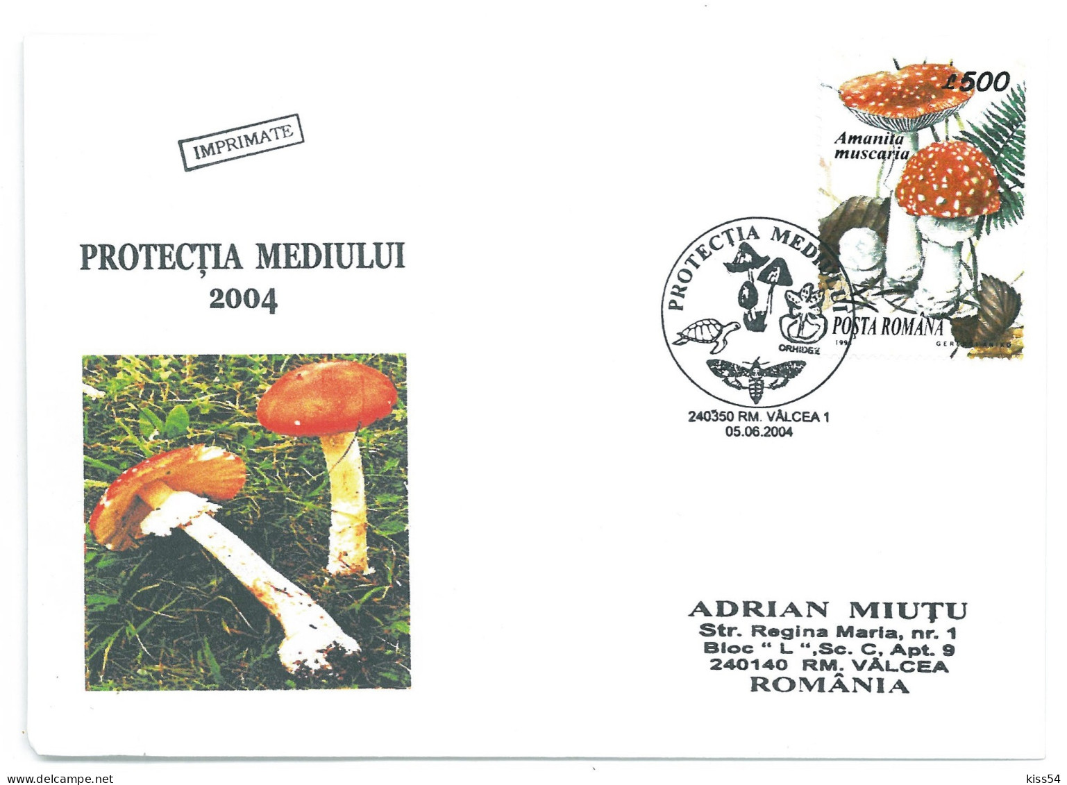 COV 997 - 3160 MUSHROOMS, Romania - Cover - Used - 2004 - Storia Postale