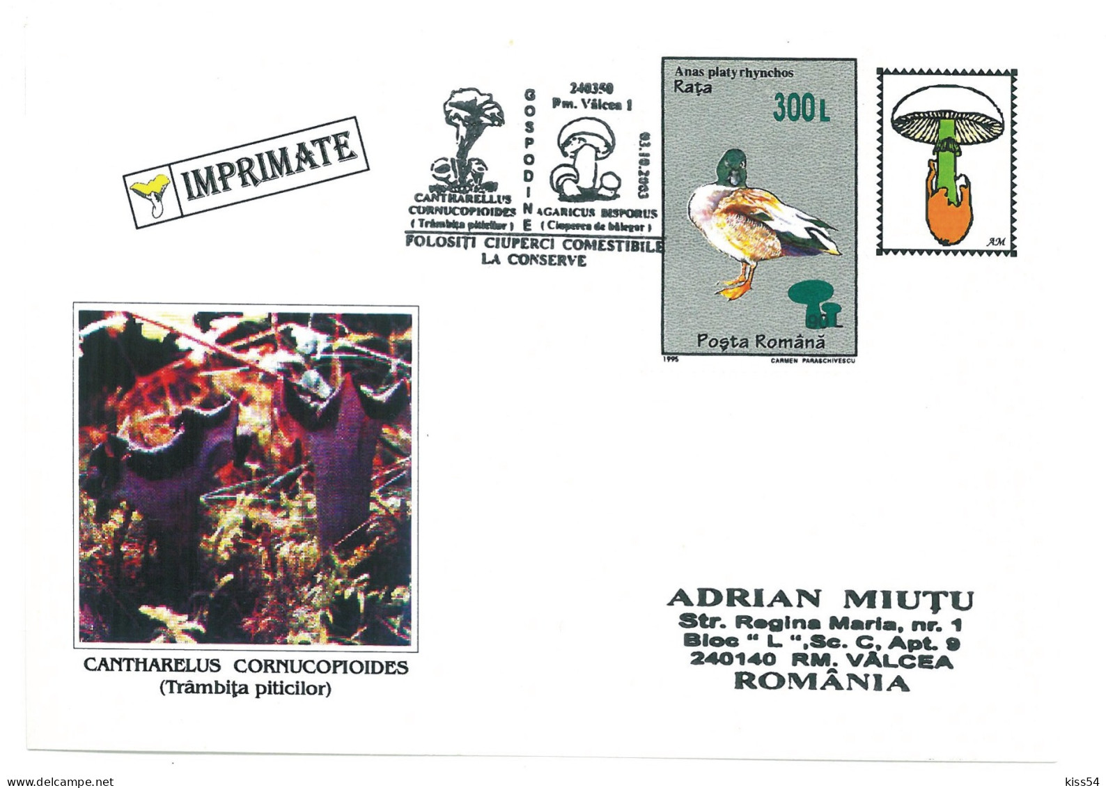 COV 997 - 3165 MUSHROOMS, Romania - Cover - Used - 2003 - Brieven En Documenten