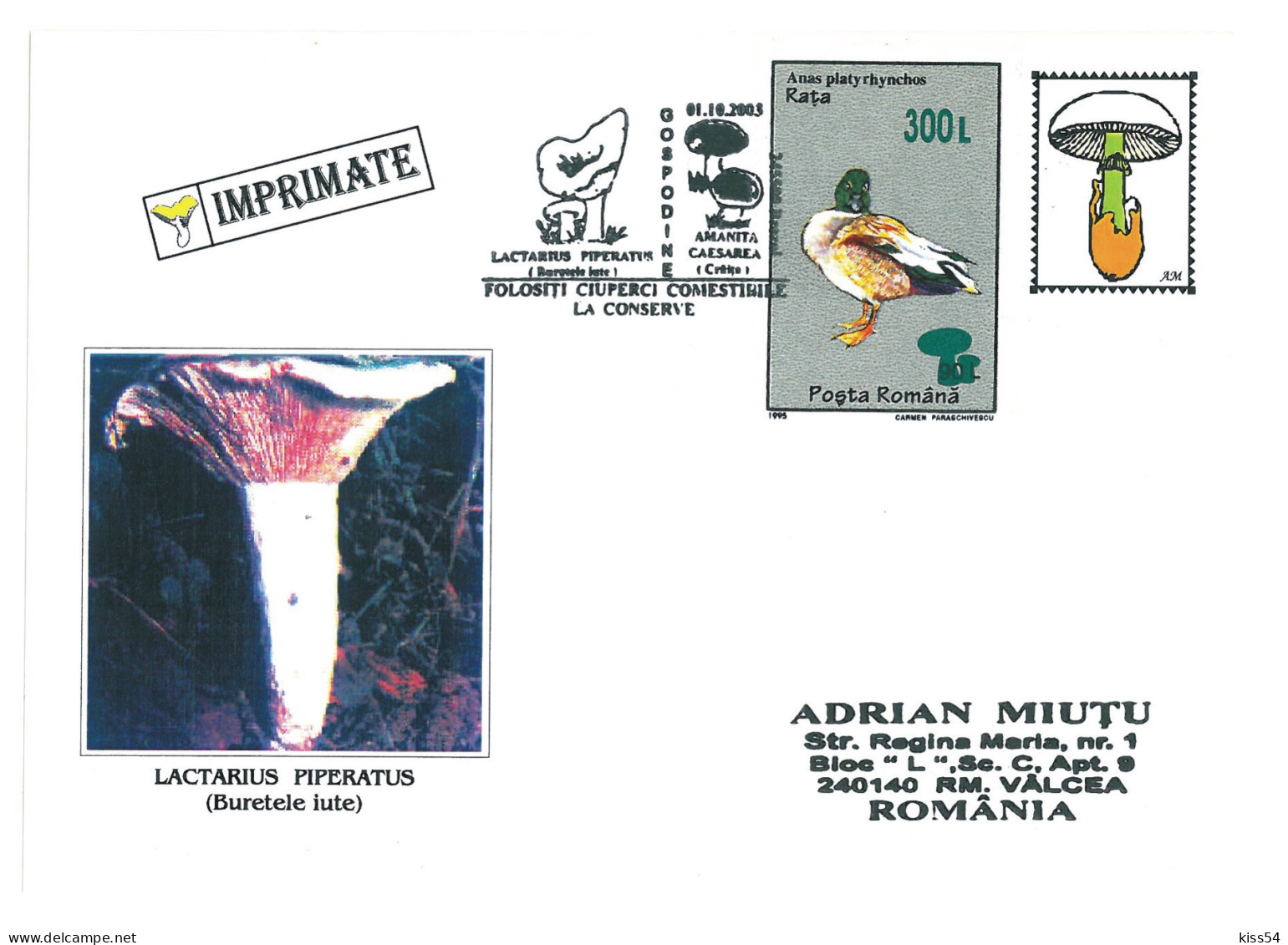 COV 997 - 3173 MUSHROOMS, Romania - Cover - Used - 2003 - Brieven En Documenten