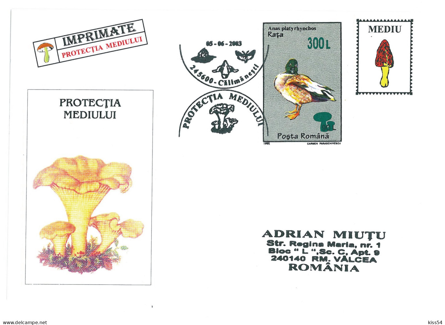 COV 997 - 3168 MUSHROOMS, Romania - Cover - Used - 2003 - Lettres & Documents