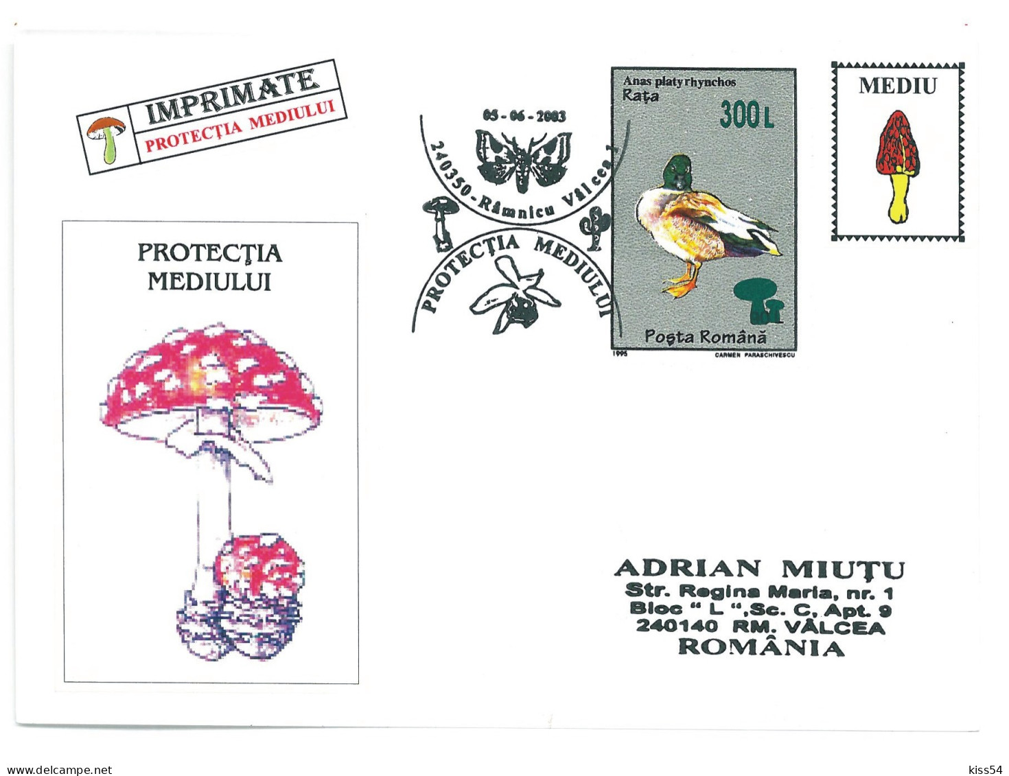 COV 997 - 3167 MUSHROOMS, Romania - Cover - Used - 2003 - Cartas & Documentos