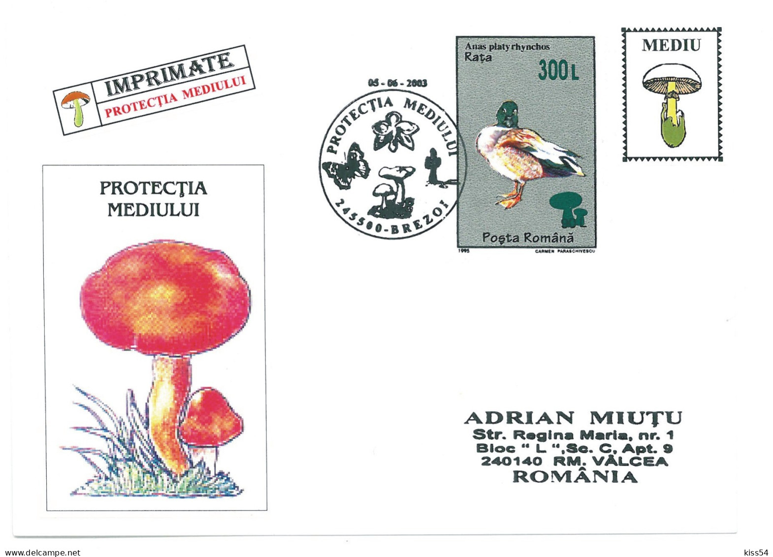 COV 997 - 3170 MUSHROOMS, Romania - Cover - Used - 2003 - Brieven En Documenten