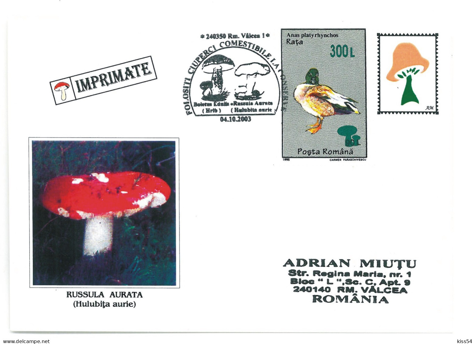 COV 997 - 3171 MUSHROOMS, Romania - Cover - Used - 2003 - Brieven En Documenten