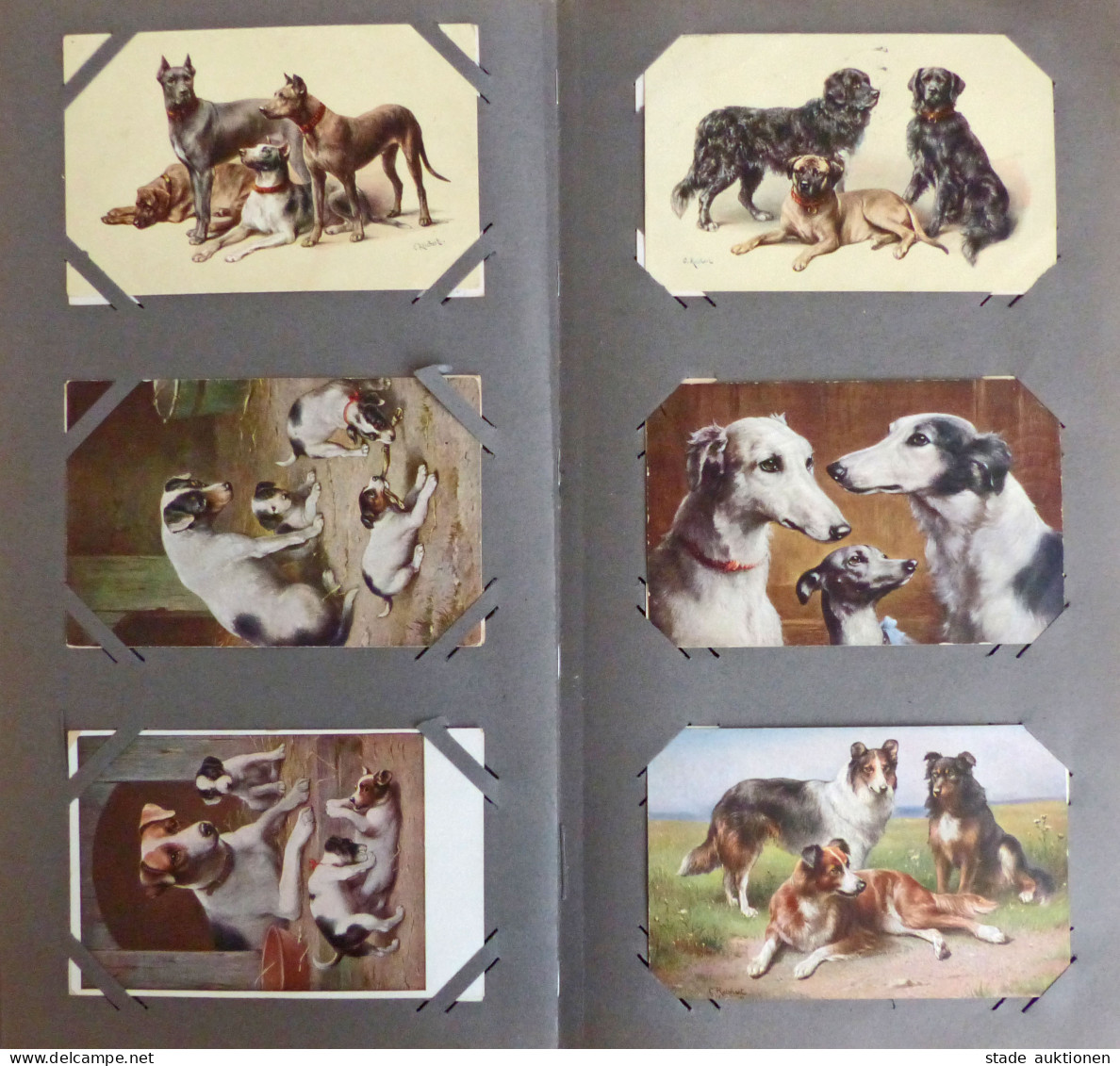 Hund 348 Ansichtskarten In Einem Grossen Und 2 Kl. Alben, Karten Zwischen 1900-1930 I-II Chien - Dogs