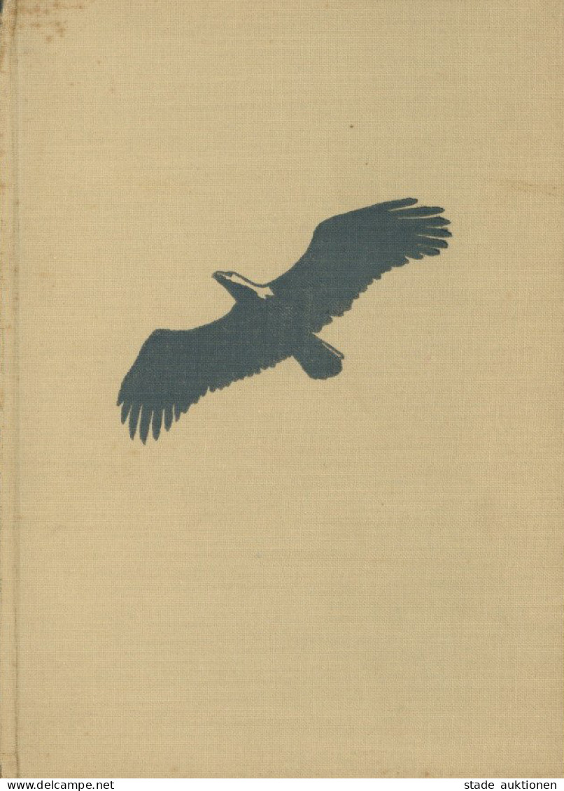 Tiere Buch Die Letzten Adler Von Berg, Bengt 1936, Verlag Reimer Berlin, 35 Bildtafeln Auf 164 S. II - Autres & Non Classés