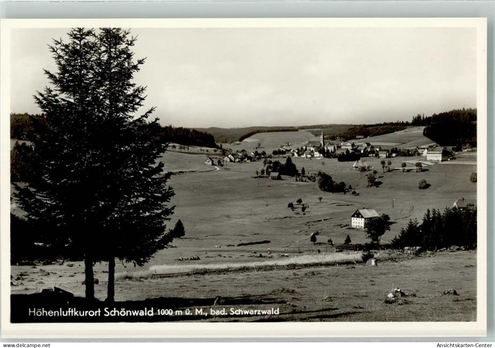 39730905 - Schoenwald Im Schwarzwald - Triberg